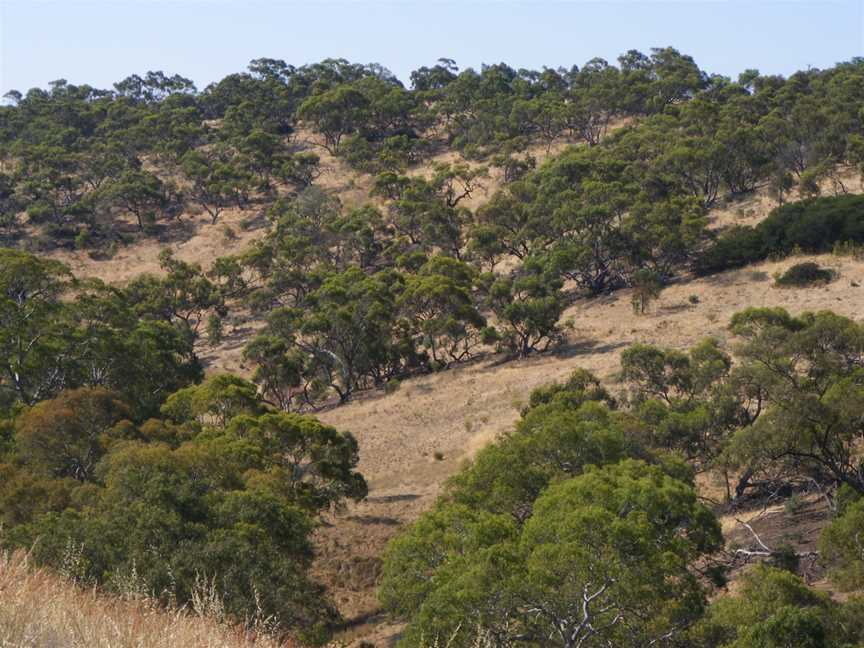 Cobbler Creek Recreation Park, Adelaide, SA