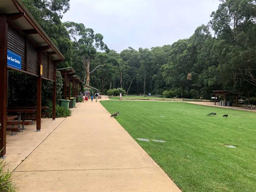 Blackbutt Reserve, Kotara, NSW