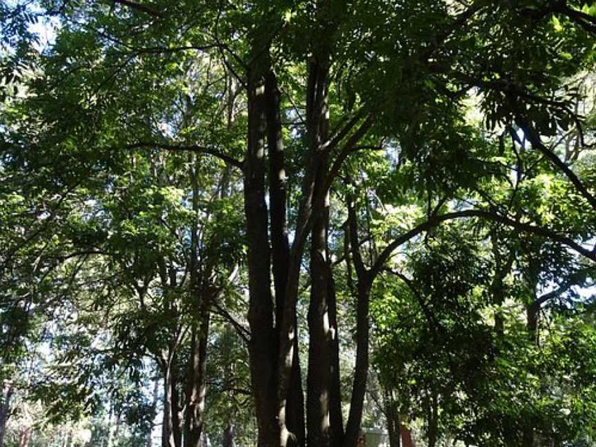 Ravensbourne National Park, Ravensbourne, QLD