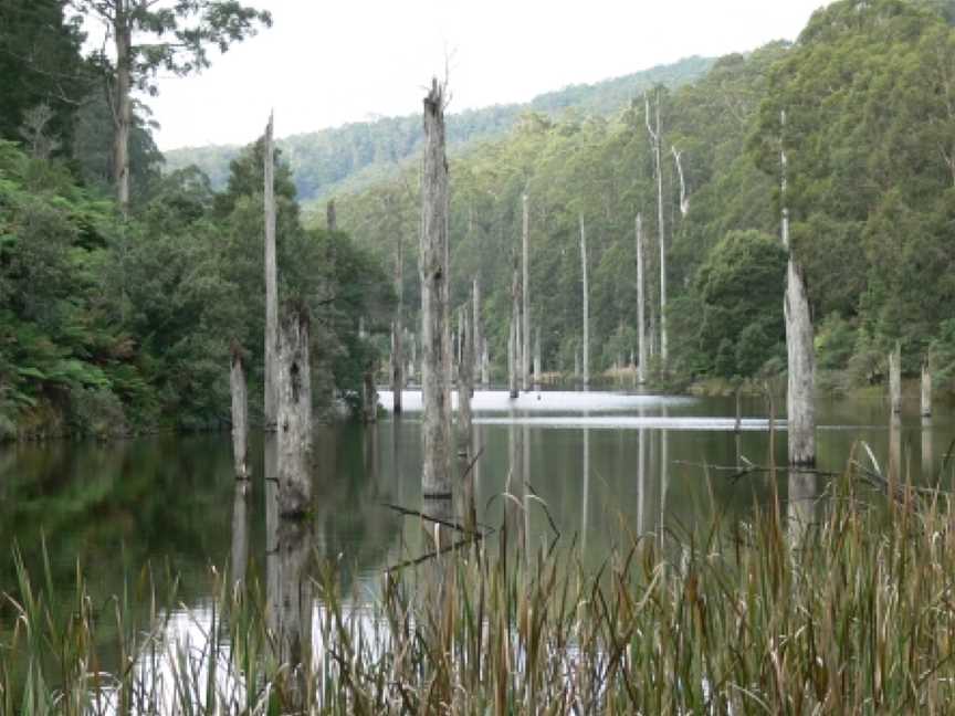 Great Otway National Park, Lorne, VIC