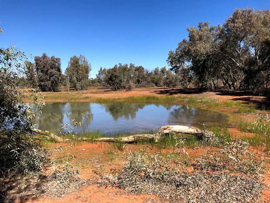 Toorale National Park, Gumbalie, NSW