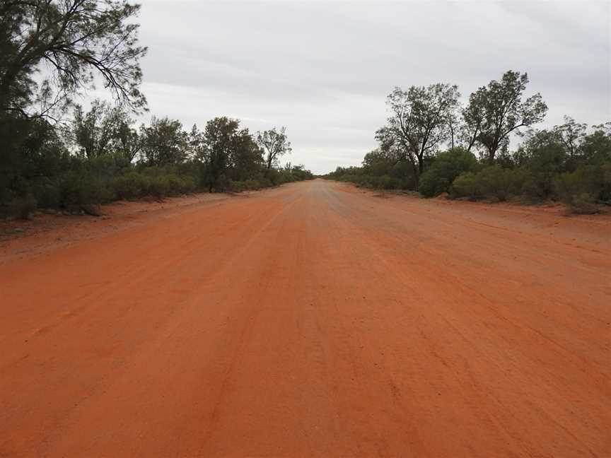 Toorale National Park, Gumbalie, NSW