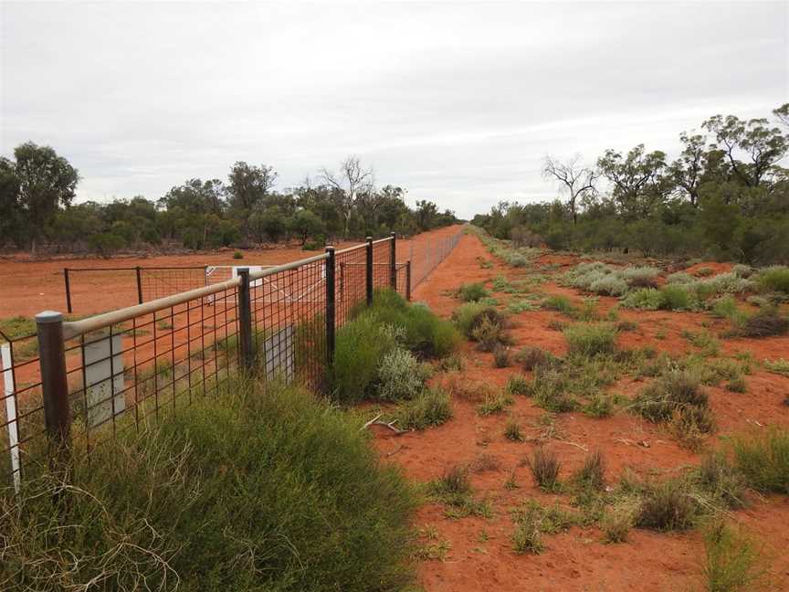 Toorale National Park, Gumbalie, NSW