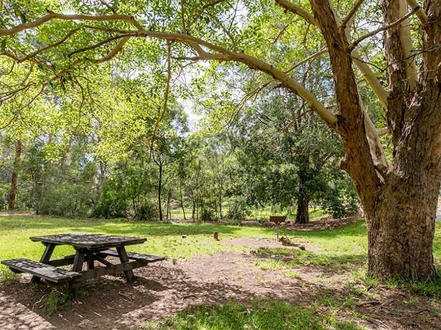 Illoura picnic area, North Ryde, NSW