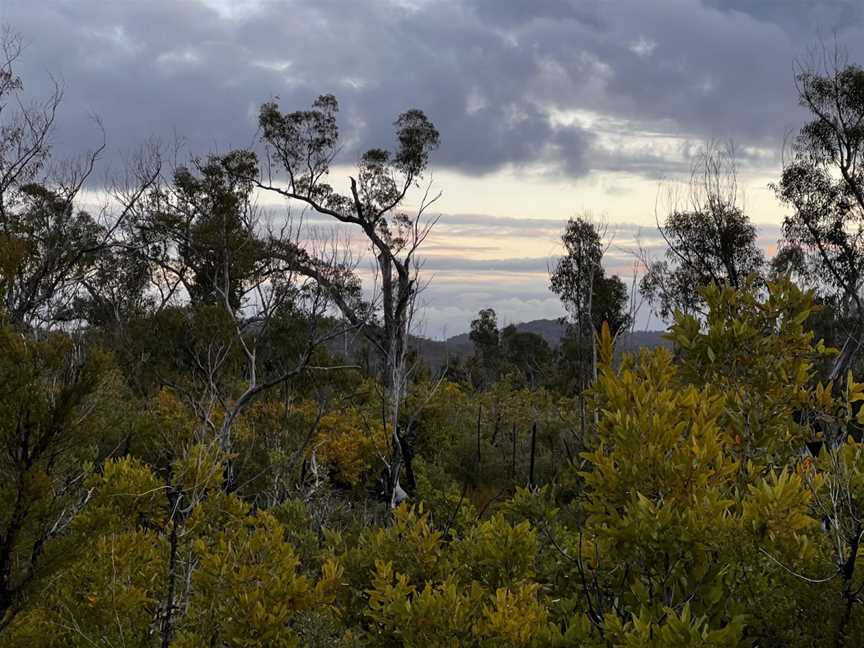 Yengo National Park, Watagan, NSW