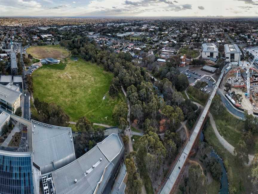 Gardiner's Creek Trail, Malvern, VIC