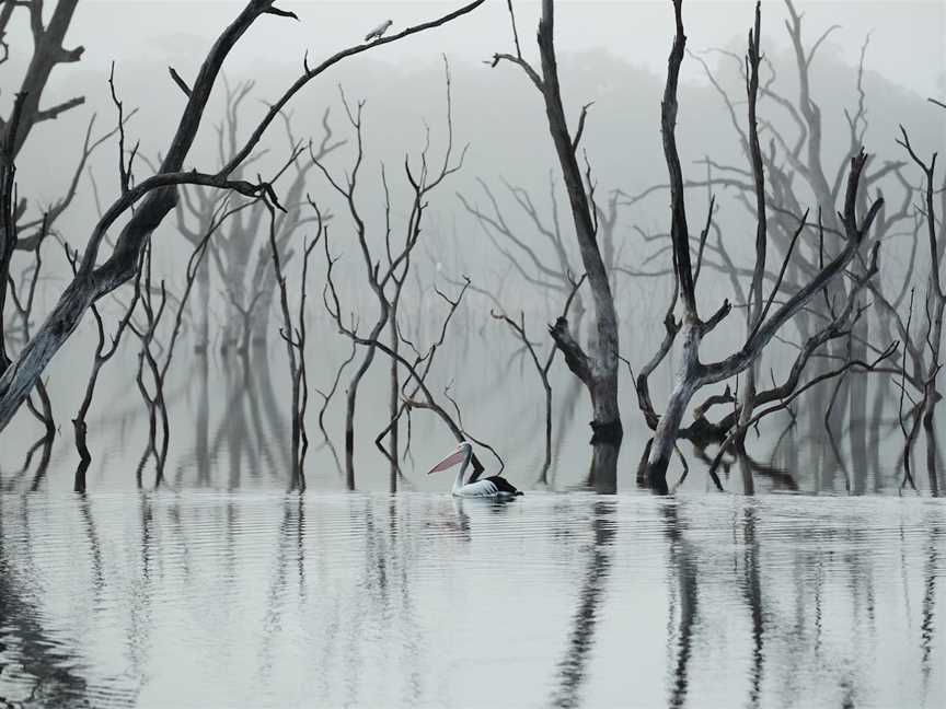 Rocklands Reservoir, Rocklands, VIC