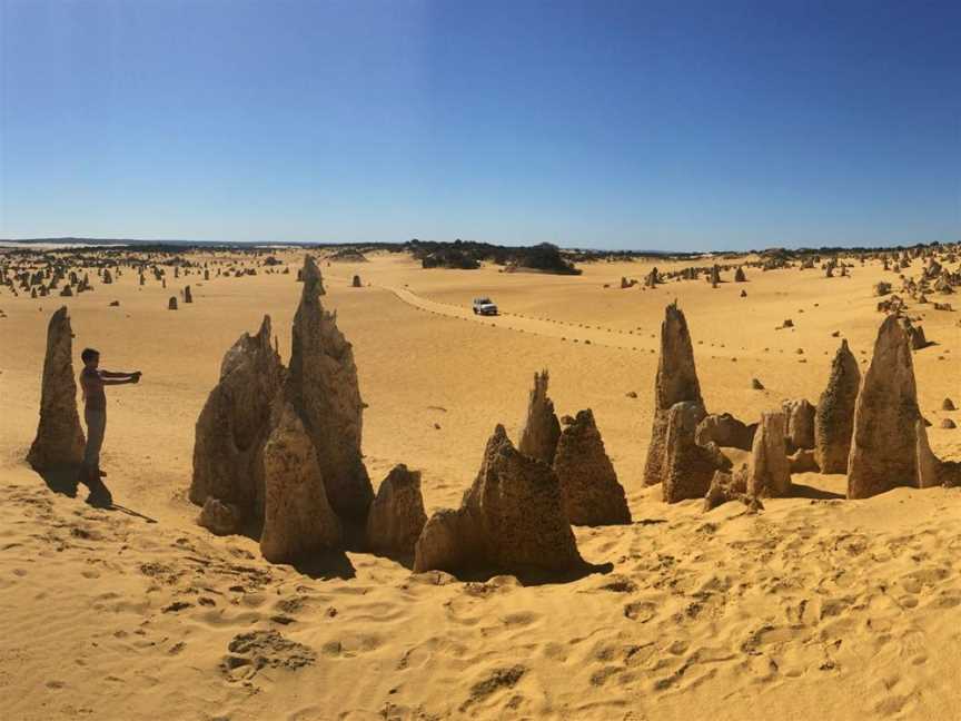 Pinnacles Dessert, Tourist attractions in Nambung