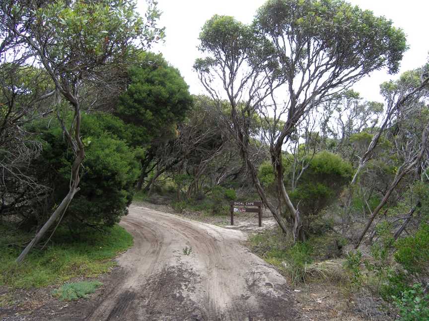 Shoal Cape Campground