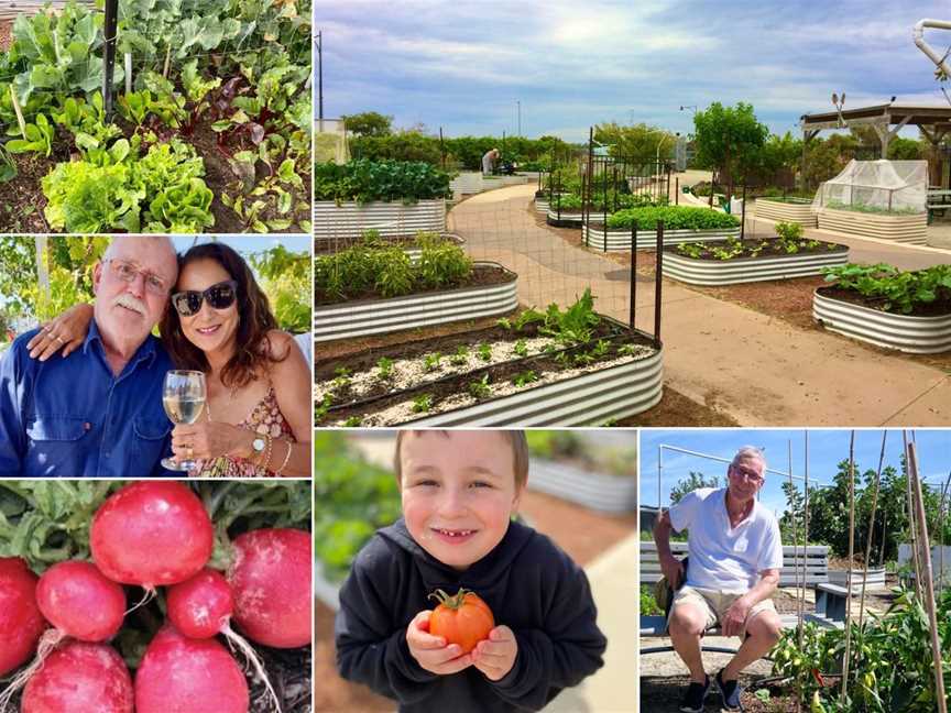 Brighton Community Garden, Social clubs in Butler