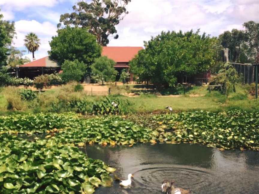 Chapel Farm, Food & drink in Middle Swan