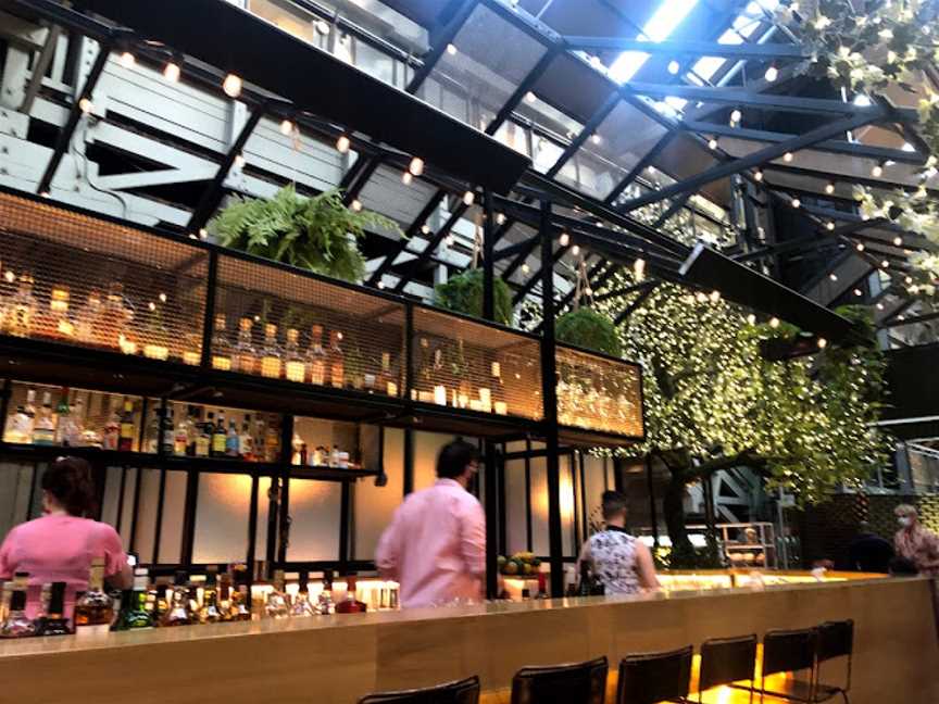 Alibi Bar & Kitchen, Woolloomooloo, NSW