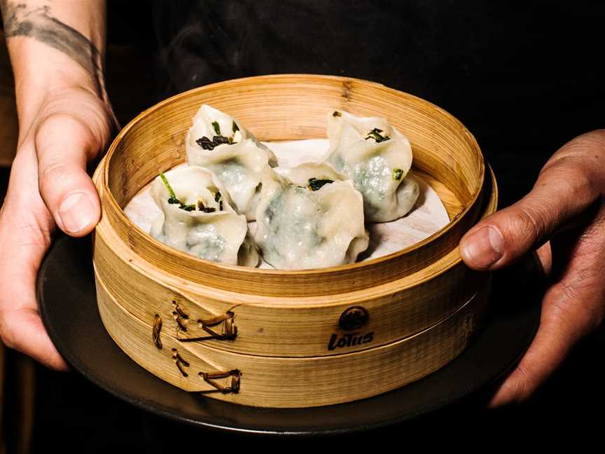 Lotus Dumpling Bar Summer Hill, Summer Hill, NSW