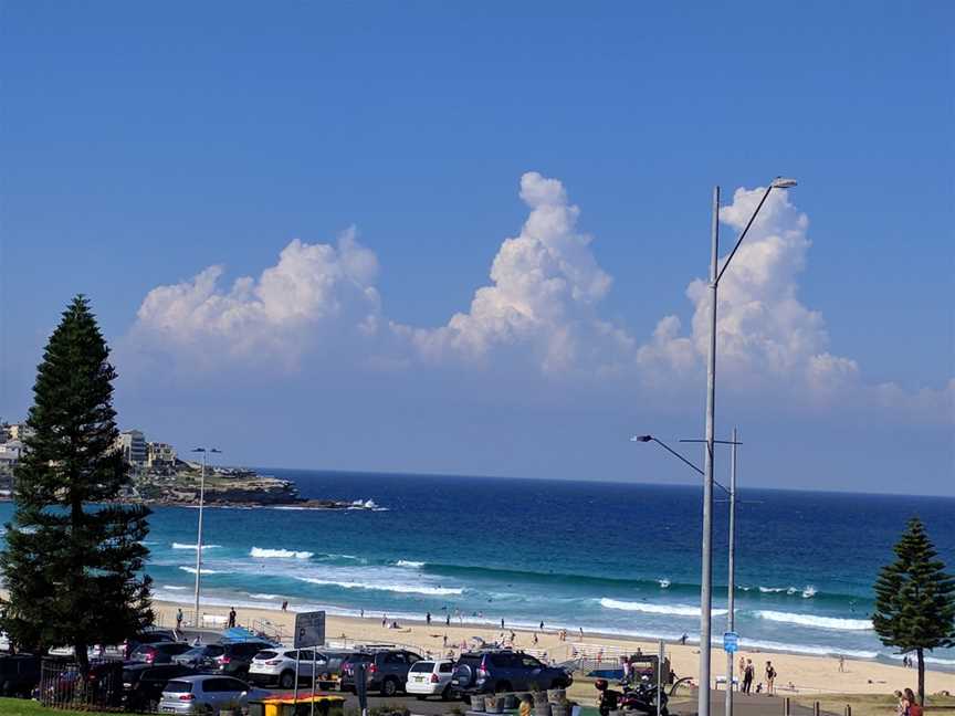 Don Pedros Bondi, Bondi Beach, NSW