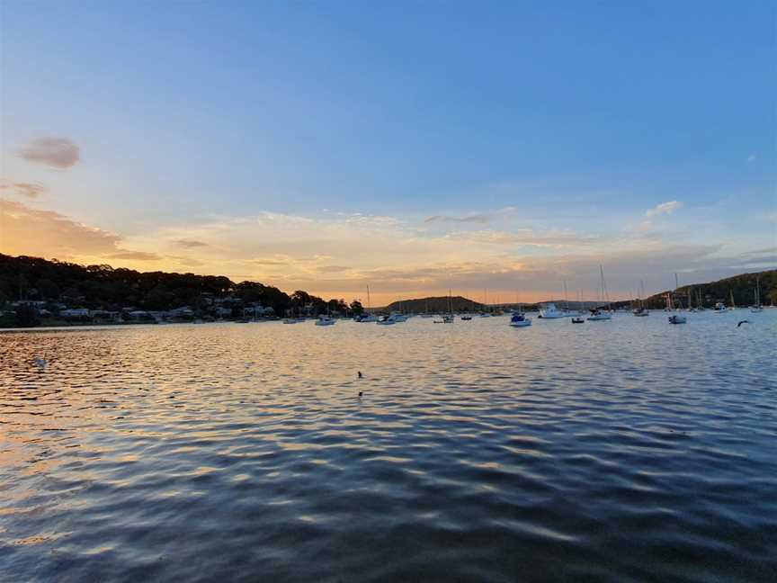 The Lucky Bee, Hardys Bay, NSW