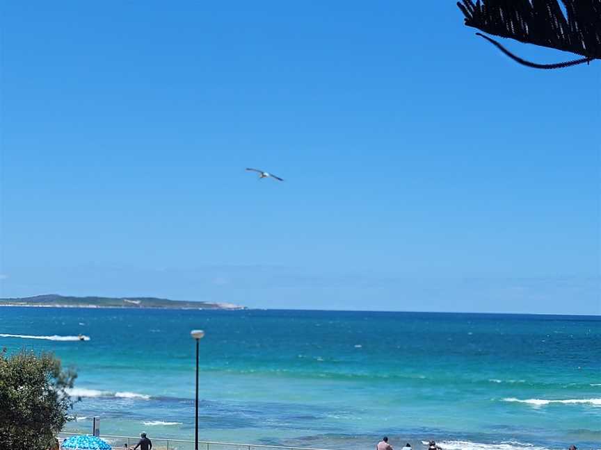 Cronulla RSL Club, Cronulla, NSW