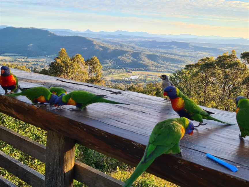 The Polish Place, Tamborine Mountain, QLD