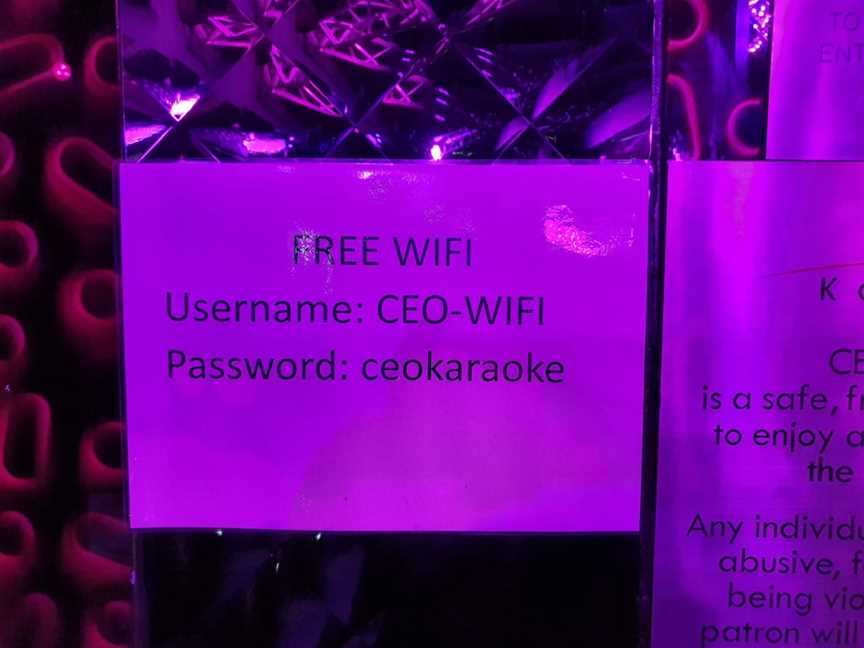 CEO Karaoke, Sydney, NSW