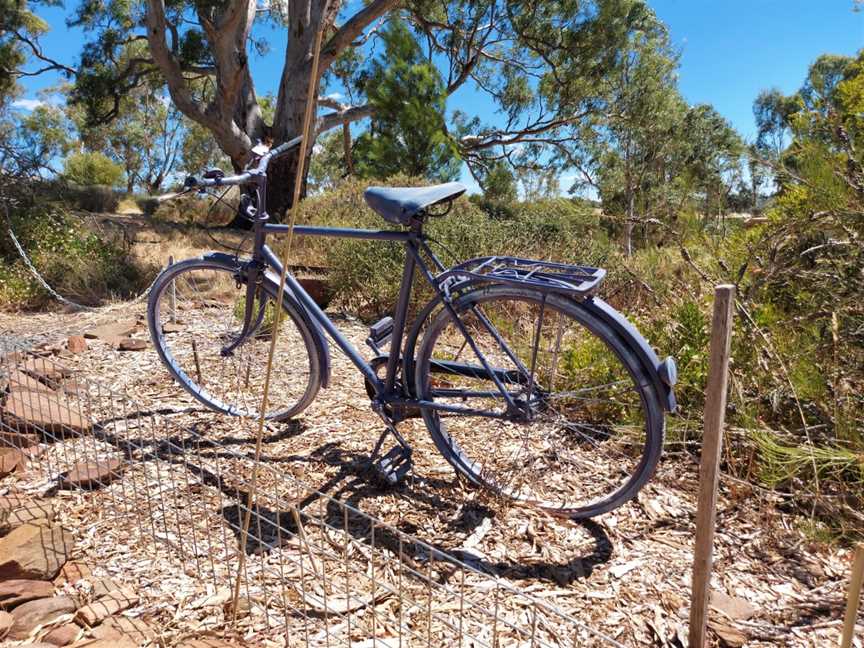 Lyndoch Lavender Farm & Cafe, Lyndoch, SA