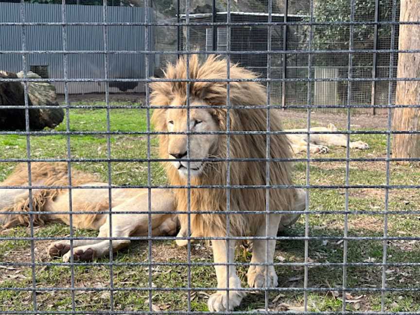 Shoalhaven Zoo And Adventure World, North Nowra, NSW