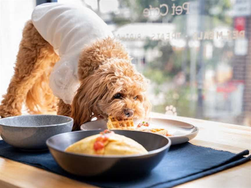 Puppadeli Pet Cafe, Lane Cove, NSW