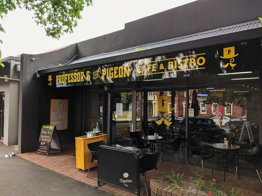 Professor and the Pigeon, Healesville, VIC