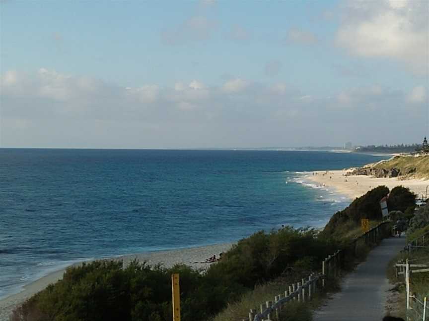 Amberjacks, Cottesloe, WA