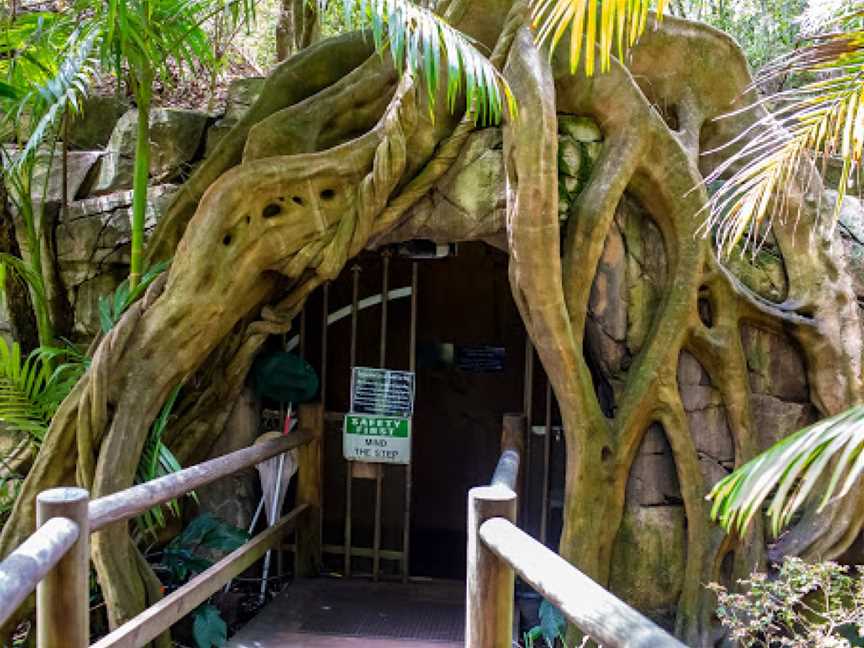 Glow Worm Caves, Tamborine Mountain, QLD