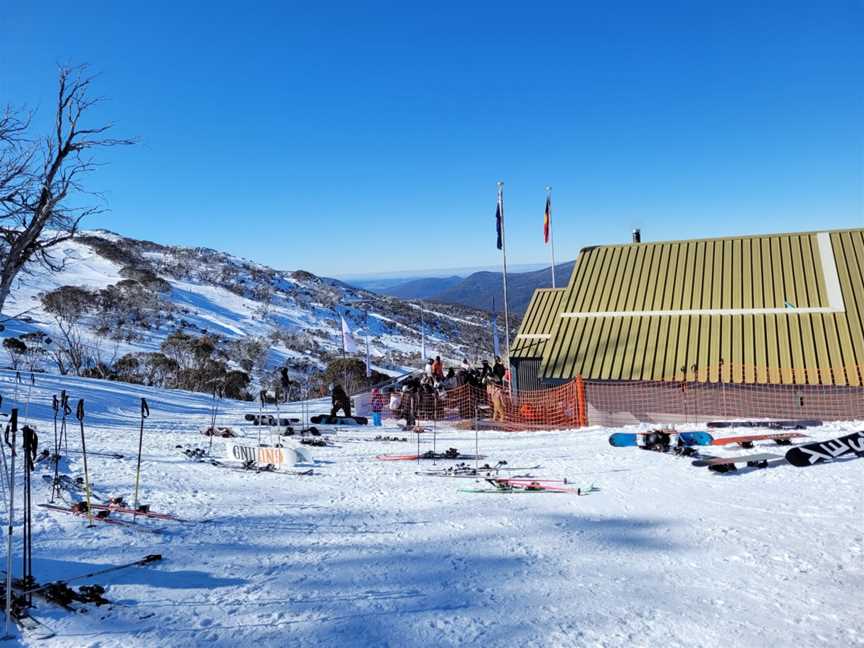 Black Sallees, Thredbo, NSW