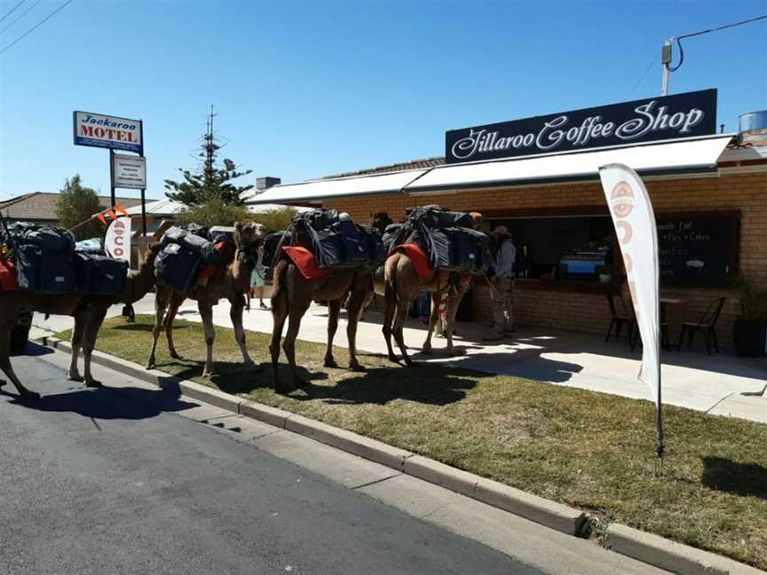 Jillaroo Coffee Shop - Cafe, Moree, NSW