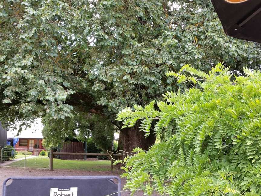 Kenton Valley Cherries and the Cherry Shed Cafe, Gumeracha, SA