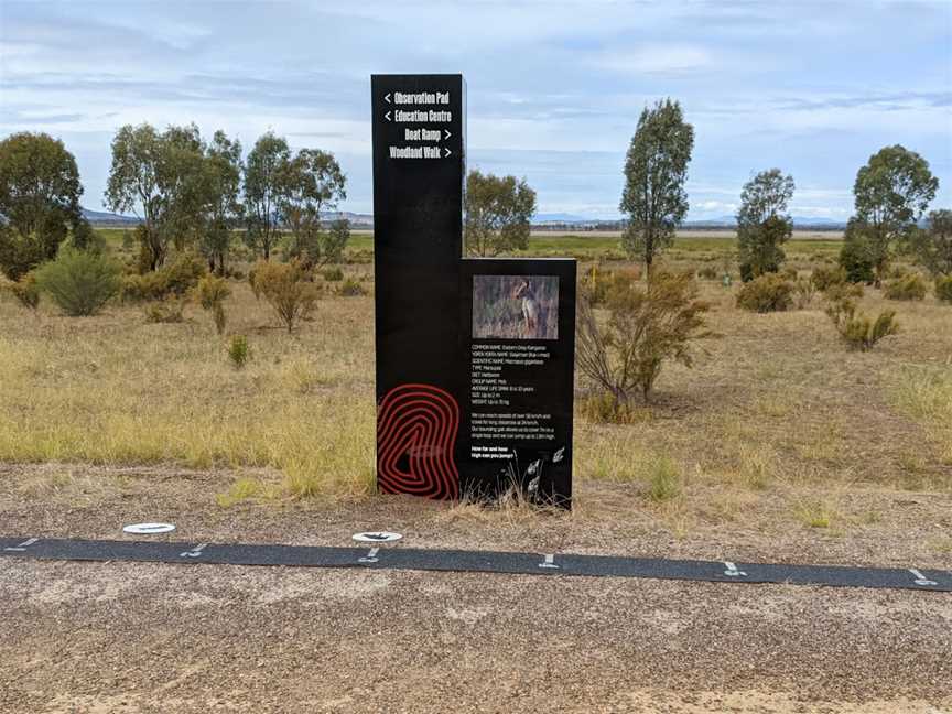 Mokoan Hub & Café, Winton North, VIC