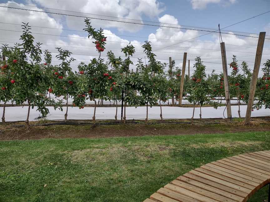 Napoleone Cider & Orchard Bar, Coldstream, VIC