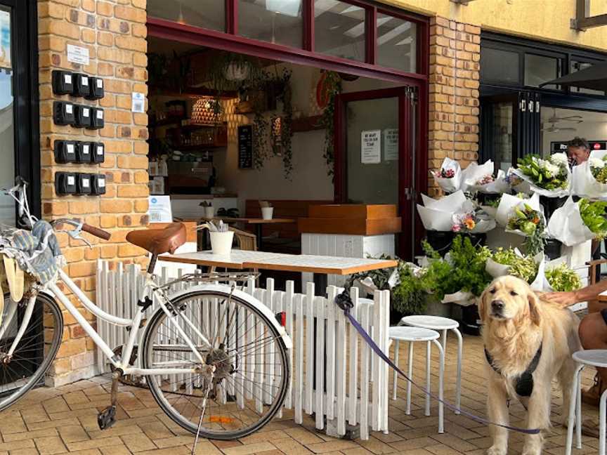 Papaya, Lennox Head, NSW