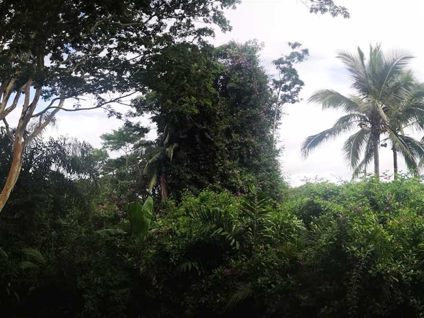 Rainforest View Restaurant, Kuranda, QLD