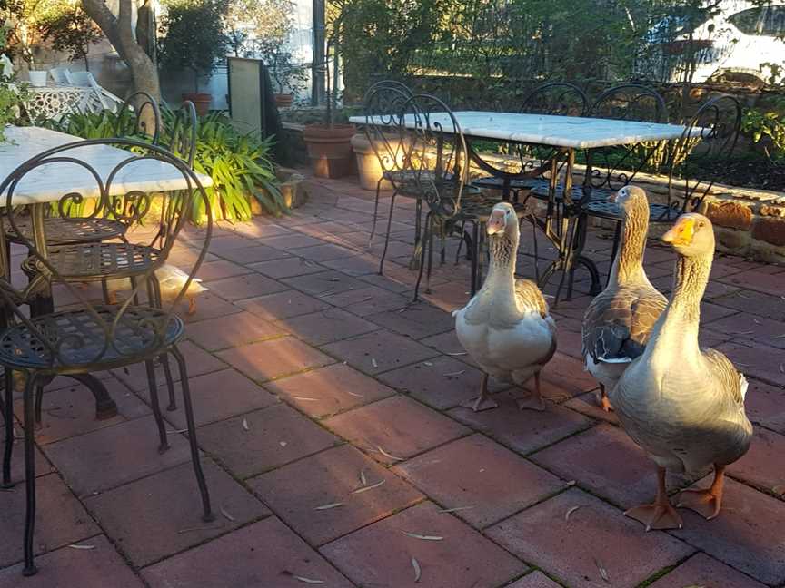 Spencers Brook Tavern, Spencers Brook, WA