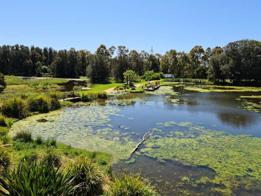 Spoonbill Cafe, Shortland, NSW