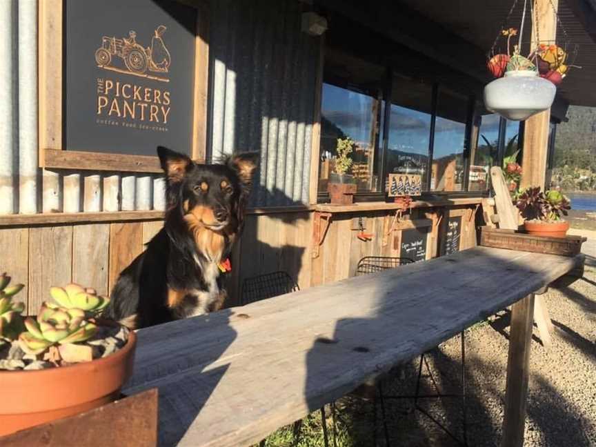 The Pickers Pantry Orchard Cafe, White Beach, TAS