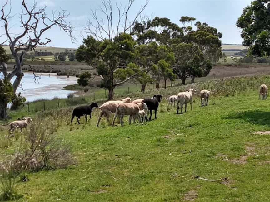 The Sanctuary, Coomunga, SA