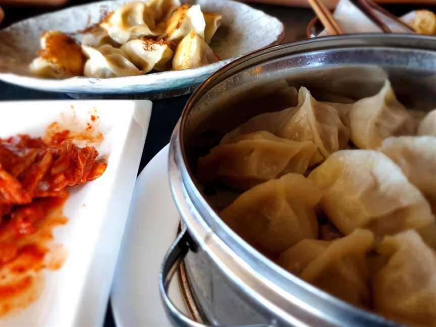 DFC WOK & Grill (Dumpling Fusion Cafe), Bombay, New Zealand