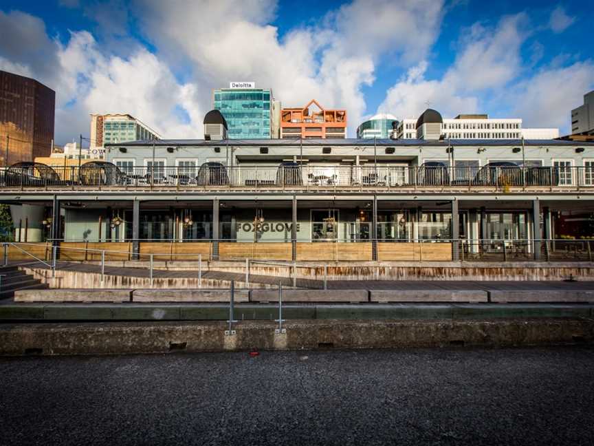 Foxglove Bar & Kitchen, Wellington Central, New Zealand