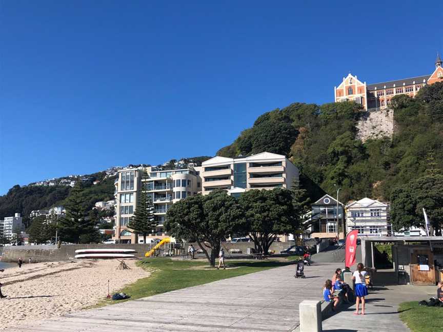 Gelissimo @ Freyberg, Oriental Bay, New Zealand