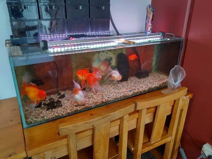 Goldfish Kitchen ?????, Rosedale, New Zealand