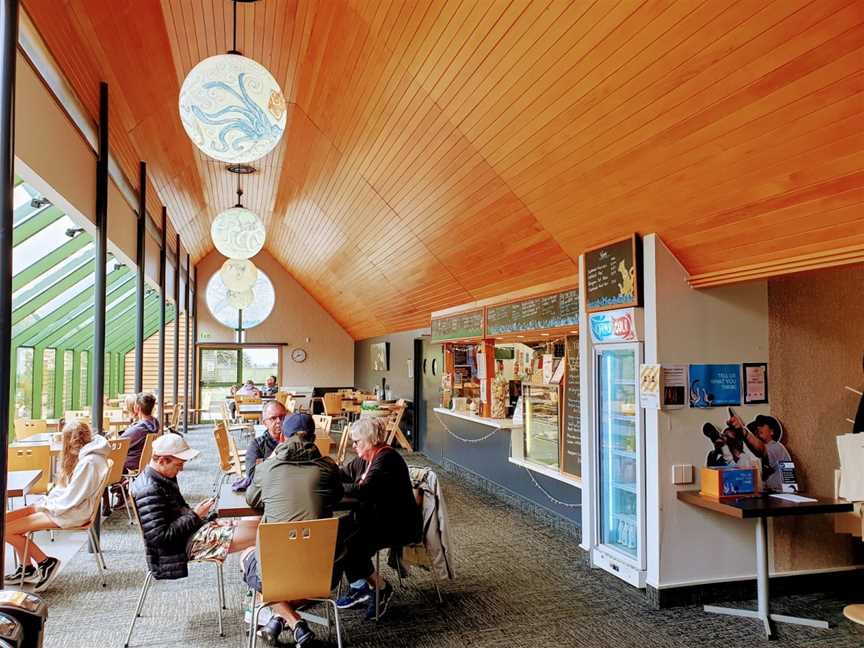 Toroa cafe, Harington Point, New Zealand