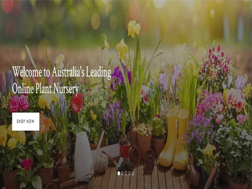 Online Plants, Business directory in Eltham North