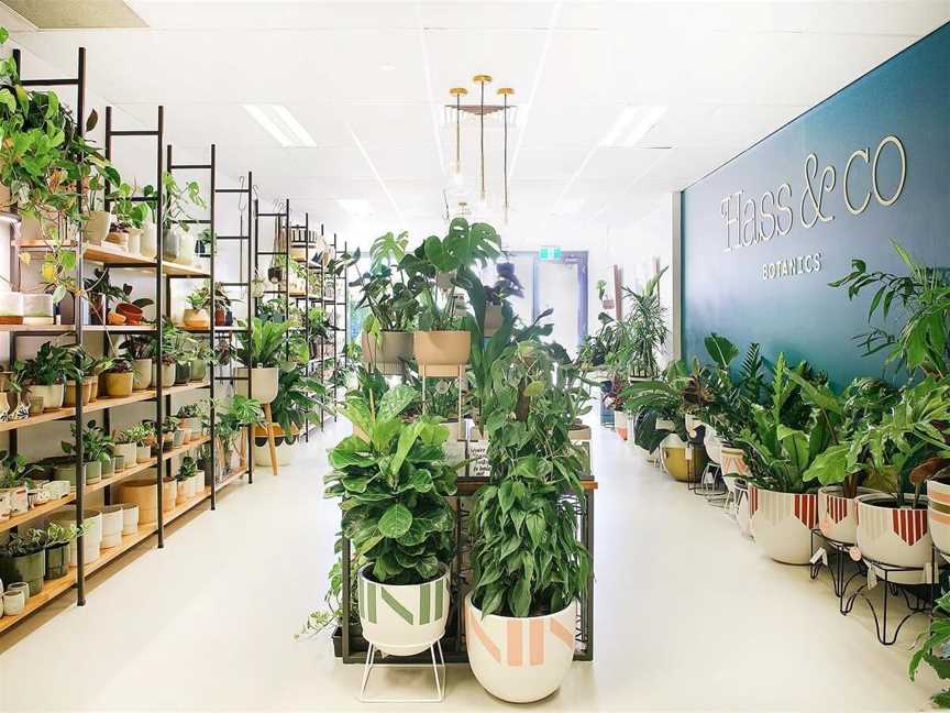 Hass & Co Botanics