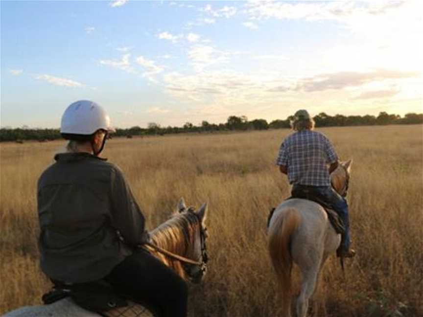 Birdwood Downs Horseriding, Tours in Derby