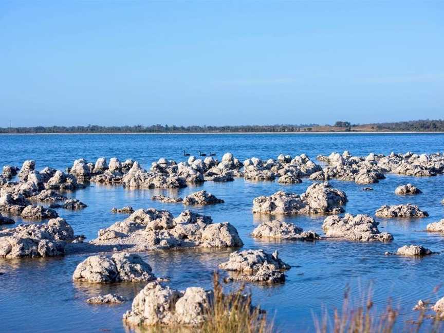 Lake Walyungup & Lake Richmond Torchlight Tours, Tours in Rockingham