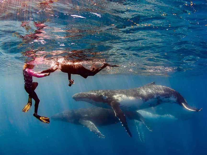 Live Ningaloo, Tours in Exmouth