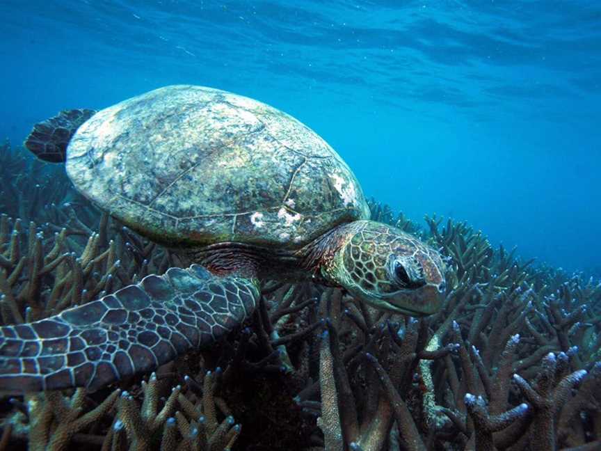 Mackerel Islands Tours, Tours in Onslow